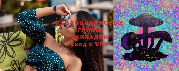 МДПВ Абаза
