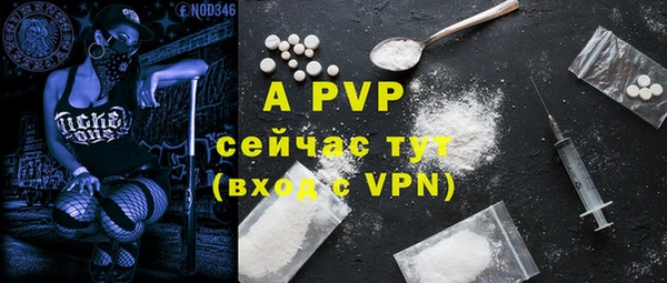 МДПВ Абаза