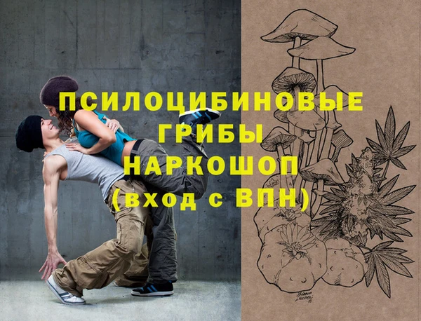 МДПВ Абинск